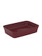 Ideal Standard Ipalyss Countertop Sink Porcelain 55x38x12.5cm Pomegranate