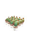 Green Leaf Cactus glauca