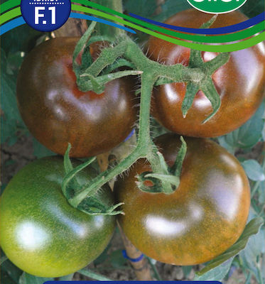 Olter Seeds Tomatoς