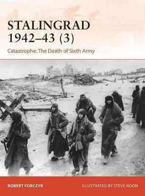 Stalingrad 1942-43, the Death of 6th Army