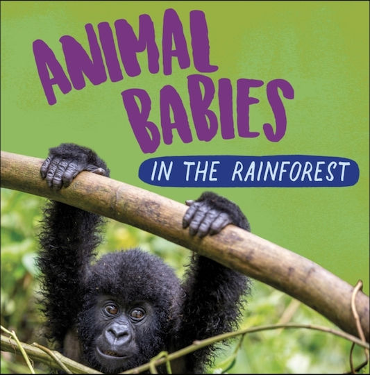 Hachette Kinder Allgemeinwissen & Quiz Bücher Tierkinder Im Regenwald
