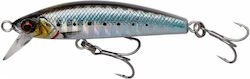 Savage Gear Gravity Minnow Artificial Bait Minnow No14 5cm 8gr Sardine PHP Savage Gear Gravity Minnow Artificial Bait Minnow No14 5cm 8gr Sardine PHP