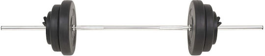 vidaXL Φ25mm Set with Weights 60kg Length 140cm with Collars