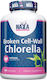 Haya Labs Broken Cell Wall Chlorella 500mg 100 file