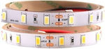 ILL Αδιάβροχη Ταινία LED Τροφοδοσίας 12V με Φυσικό Λευκό Φως Μήκους 5m και 60 LED ανά Μέτρο Τύπου SMD5630