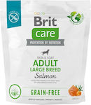 Brit Care Skin & Coat Adult Large 1kg Dry Food for Adult Dogs of Small Breeds with Potatoes and Salmon