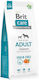 Brit Care Skin & Coat Adult 3kg Dry Food Grain-Free for Adult Dogs with Potatoes and Salmon