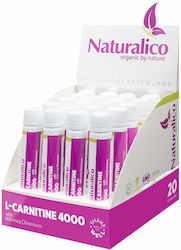 Naturalico L-Carnitine с Карнитин 4000мг 20 x 1мл