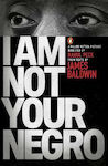 I Am Not Your Negro