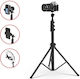 Kamerastative MT-38 Bis 168cm Und Belastbarkeit 3kg