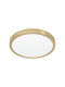 Eglo Fueva Ceiling Mount Light 28.5cm Gold with Integrated LED and Remote Control