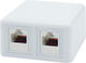 Doppelte Externe Netzwerksteckdose RJ45 Typ Cat6 In Weiß Farbe 01.075.0111
