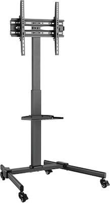 Brateck FS22H-44TW Βάση Τηλεόρασης Δαπέδου έως 55" και 35kg