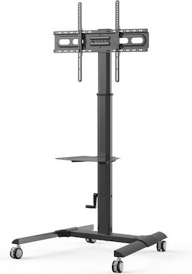 Techly ICA-TR228 ICA-TR228 TV Mount Floor up to 70" and 40kg