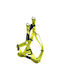 Rogz Hundegeschirr Utility Step In Nitelife Gelb Klein 27-38cm