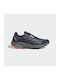 Terrex Trailrider Herren Sportschuhe Trail Running Wonder Steel / Core Black / Impact Orange