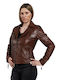 Leather jacket Lou - Koniak