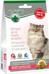 dr Seidel Healthy Urinary Tract Snack Treats for Cat 50gr