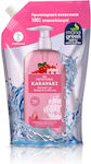 Papoutsanis Karavaki Pomegranate & Honey Nachfüllung Shampoos Feuchtigkeit für Alle Haartypen 1x500ml