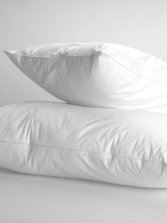 Pennie Feathered Bed Pillow 50x70cm