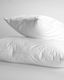 Pennie Sleep Pillow Feathered 50x70cm