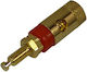 Ultimax Borna Gold Plated 20mm BI-3620G 01.092.0025
