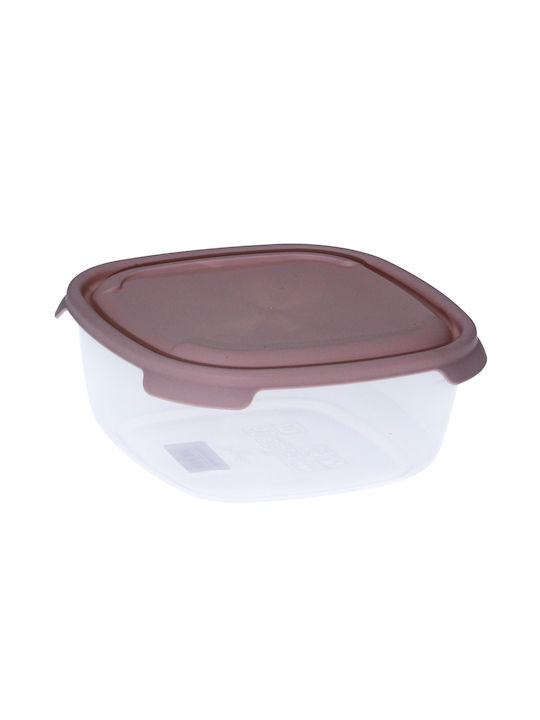 Viosarp Lunchbox Kunststoff Transparent 1000ml 1Stück