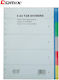 Next Plastic Dividers for Documents A4 with Holes 10pcs
