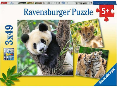 Puzzle pentru Copii Panda, Tiger and Lion Children's pentru 5++ Ani 147buc Ravensburger