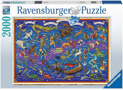 Constellations Puzzle 2D 2000pcs