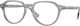 Burberry Plastic Eyeglass Frame Gray 2368 4021