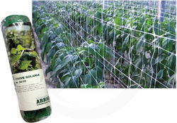 Arrigoni Climbing Plant Net