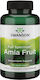 Swanson Vollspektrum Amla-Frucht 500 mg 120 Kapseln