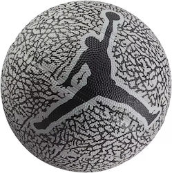 Nike Jordan Skills 2.0 Mini Μπάλα Μπάσκετ Outdoor