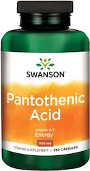 Swanson Pantothenic Acid Βιταμίνη για Ενέργεια 500mg 250 κάψουλες