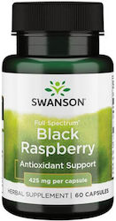 Swanson Black Raspberry 425mg 60 κάψουλες