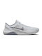 Nike Legend Essential 3 Bărbați Pantofi sport pentru Antrenament & Sală Photon Dust / Cool Grey / Light Bone / Anthracite