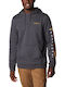 Csc Basic Logo Ii Sweatshirt with Hood Gray