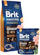 Brit Premium By Nature Senior Small/Medium 8kg Dry Food Gluten-Free for Senior Small & Medium Breed Dogs with Chicken