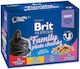 Brit Family Plate Wet Food for Cats in Pouch with Beef Turkey Chicken Salmon and Sea Bream Gluten Free 12x100gr