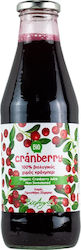 Vio Agros Cranberry Zuckerfrei 750ml 1Stück P31723