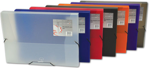 Typotrust Plastic File Box with Rubber Band 35x3x25cm (Μiscellaneous colours)