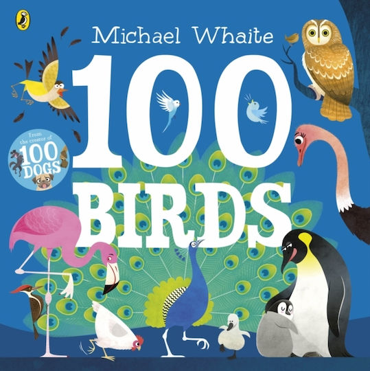 100 Birds 100 Birds