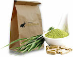 Organic Barley Grass Powder Spices Bazaar 100gr