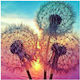 Diamond Painting Canvas Kit 5D DIY Cross Stitch Kit 30x30cm