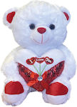 Plush Bear 35 cm