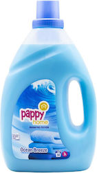 Pappy Home Pappy Home