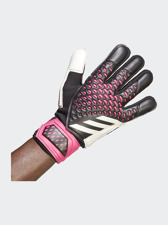 adidas Predator Match Torwarthandschuhe Erwachsene Schwarz