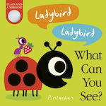 Ladybird! Ladybird! What Can you See?