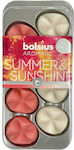 Bolsius Wax Melt Summer & Sunshine 8τμχ